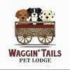 waggintailspetlodge