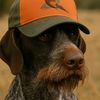 benelli.the.gsp