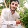 sheikhmuzzamil262