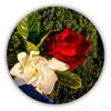 user690103351776
