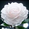 floridalma_8711