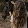 ghq681