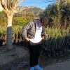 bekir_29e