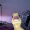 Wz_boi