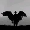userkoshmar