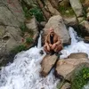 mustafa71232