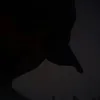 miguel__teu