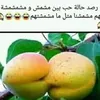 hicham.ben.bachir