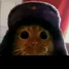 gato.sovietico.1922