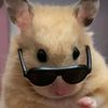 henry_nuku4