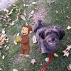 happy.monkey123