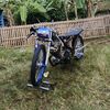 bos.ayam14