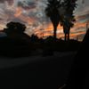 marley333_03
