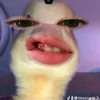 beiucuanh_3