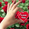 hasnain.zahid8