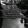 gozelzehra