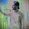 shahxeb13