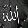 yanzz.849