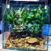 baotrung_guppy