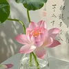 hhann_001