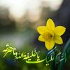 ahmadyir