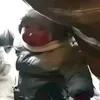pipidastr405