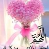 user40382942681520