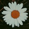 user1448615151396