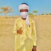 hamis_arnimi