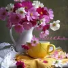 lena43021tiktok.comlena