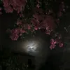 ihsan__910