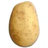 zozo64221