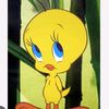 tweety_dryfruit