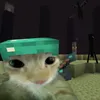testeedits7