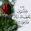 user4119288858797