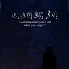 ameer_natour0