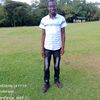 kifee31