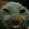 katon_goukakyuu