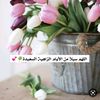 zahia.eldouma