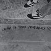 8_zoera_8