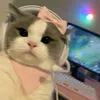 joaninha00098
