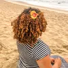 barb.limaa