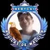 bebycai