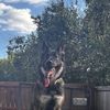 0dakota_is_cool0