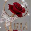 sonia.lima442