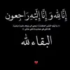 .a.65.hava