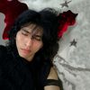 gojiranofkyo