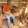 Uganda Dog Rescue centerい