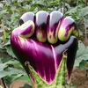 doandu74
