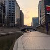 kate_cuong